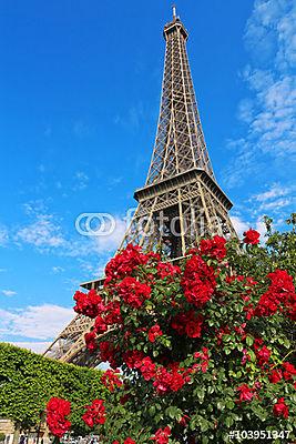 Eiffel-torony a vörös rózsa bokor mögött (bögre) - vászonkép, falikép otthonra és irodába