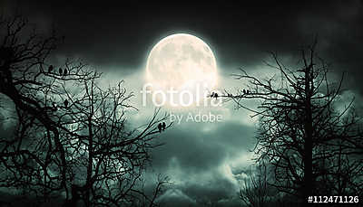 Night Forest With Moon  Background.	 (bögre) - vászonkép, falikép otthonra és irodába