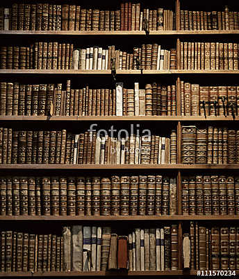 old books on wooden shelf. (többrészes kép) - vászonkép, falikép otthonra és irodába