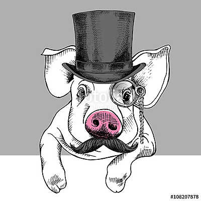 Pig portrait in a hat bowler and with monocle. Vector illustrati (bögre) - vászonkép, falikép otthonra és irodába