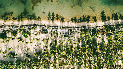 Swadow on water. Reflection palm trees (poszter) - vászonkép, falikép otthonra és irodába