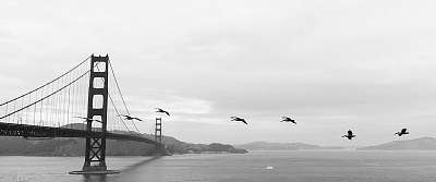 Golden Gate Bridge fekete-fehérben, San Francisco (keretezett kép) - vászonkép, falikép otthonra és irodába