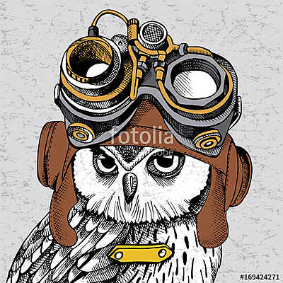 Owl portrait in a Steampunk helmet. Vector illustration. (bögre) - vászonkép, falikép otthonra és irodába