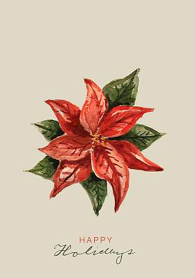 Klasszikus akvarell hatású karácsonyi grafika 3. (mikulásvirág) (bögre) - vászonkép, falikép otthonra és irodába