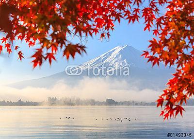 Őszi szezon és Mountain Fuji (bögre) - vászonkép, falikép otthonra és irodába