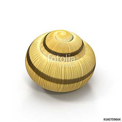 Snail Shell on white. 3D illustration (többrészes kép) - vászonkép, falikép otthonra és irodába