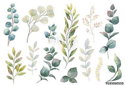 Hand drawn vector watercolor set of herbs, wildflowers and spice (keretezett kép) - vászonkép, falikép otthonra és irodába