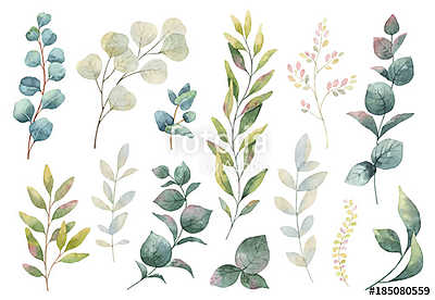 Hand drawn vector watercolor set of herbs, wildflowers and spice (bögre) - vászonkép, falikép otthonra és irodába