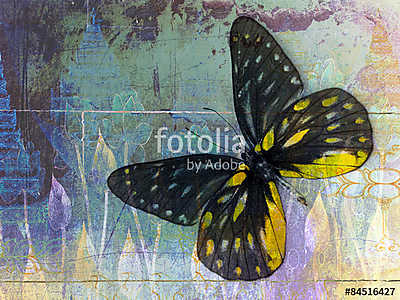 butterfly( Thai background ) (többrészes kép) - vászonkép, falikép otthonra és irodába