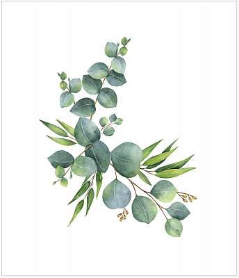 Watercolor vector wreath with green eucalyptus leaves and branch (bögre) - vászonkép, falikép otthonra és irodába