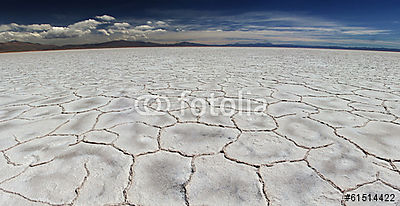 Salinas grande (bögre) - vászonkép, falikép otthonra és irodába