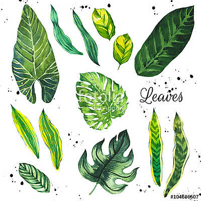 Illustration with tropical leaves. Watercolor set of green leave (többrészes kép) - vászonkép, falikép otthonra és irodába