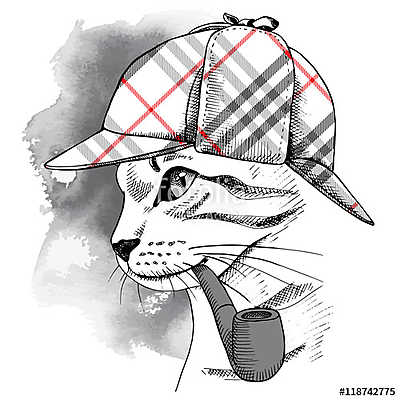 Portrait of a cat in checkered deerstalker with smoking pipe. Ve (keretezett kép) - vászonkép, falikép otthonra és irodába