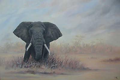 Elefánt a szavannán (fotótapéta) - vászonkép, falikép otthonra és irodába
