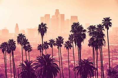 Los Angeles skyline with palm trees in the foreground (bögre) - vászonkép, falikép otthonra és irodába