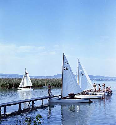 Vitorláshajók Tihanynál (1961) (bögre) - vászonkép, falikép otthonra és irodába