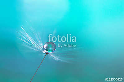 Macro of dandelion with water drops on a blue background. (bögre) - vászonkép, falikép otthonra és irodába