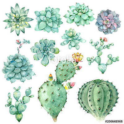 succulents in watercolor (bögre) - vászonkép, falikép otthonra és irodába