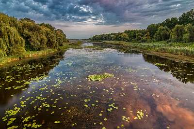 Kis-Balaton (vászonkép óra) - vászonkép, falikép otthonra és irodába