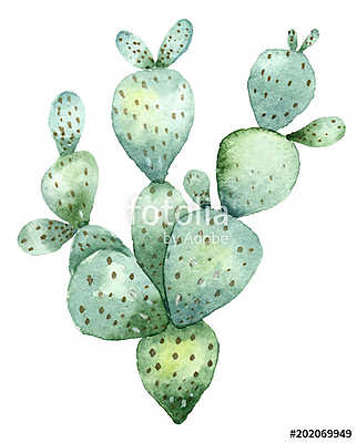 Cactus in watercolor (keretezett kép) - vászonkép, falikép otthonra és irodába