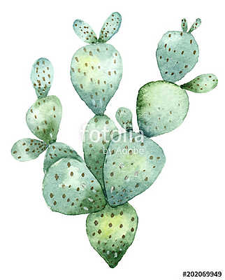 Cactus in watercolor (poszter) - vászonkép, falikép otthonra és irodába