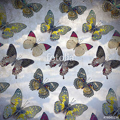 butterflys (bögre) - vászonkép, falikép otthonra és irodába