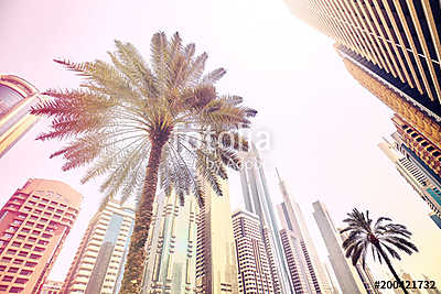 Palm trees in front of modern skyscrapers in Dubai, color toned  (fotótapéta) - vászonkép, falikép otthonra és irodába