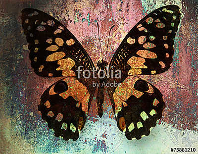 grunge butterfly (többrészes kép) - vászonkép, falikép otthonra és irodába