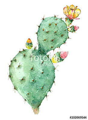 Cactus in blossom (többrészes kép) - vászonkép, falikép otthonra és irodába