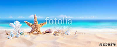 Golden Sand With Seashell And Starfish - Tropical Seashore
 (bögre) - vászonkép, falikép otthonra és irodába