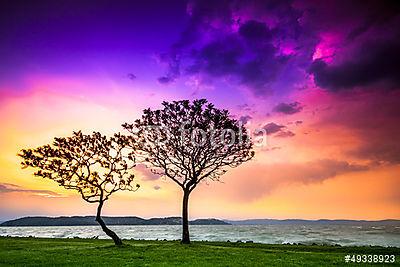 Lake Balaton in Hungary (fotótapéta) - vászonkép, falikép otthonra és irodába