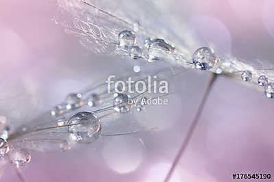 Dandelion with silvery drops of dew on a multi-colored gentle ba (keretezett kép) - vászonkép, falikép otthonra és irodába