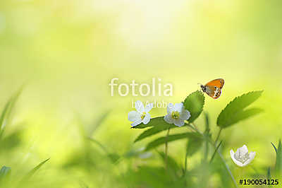 Beautiful spring floral background with copy space. Spring white (keretezett kép) - vászonkép, falikép otthonra és irodába