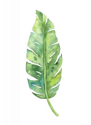 Tropical banana leaf illustration (bögre) - vászonkép, falikép otthonra és irodába