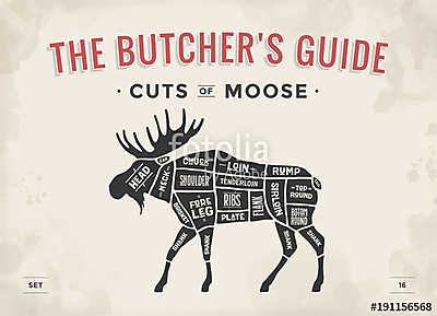Cut of meat set. Poster Butcher diagram, scheme - Moose. Vintage (keretezett kép) - vászonkép, falikép otthonra és irodába