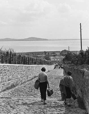 Badacsony (1964) (bögre) - vászonkép, falikép otthonra és irodába