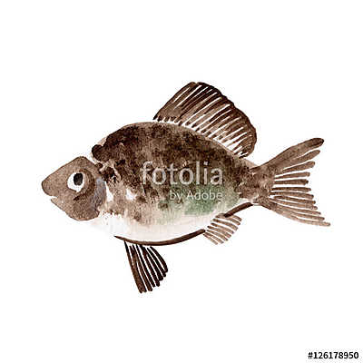 Szrucián hal   (többrészes kép) - vászonkép, falikép otthonra és irodába