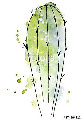 Watercolor cactus Abstract hand drawn cacti (keretezett kép) - vászonkép, falikép otthonra és irodába