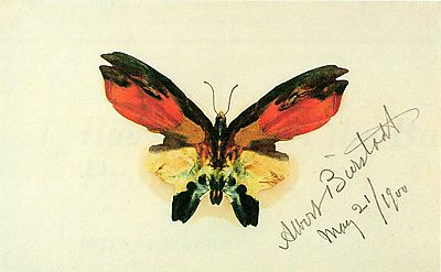 Pillangó 2 (poszter) - vászonkép, falikép otthonra és irodába