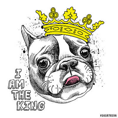 Image Portrait of French bulldog in a yellow crown. Vector illus (bögre) - vászonkép, falikép otthonra és irodába