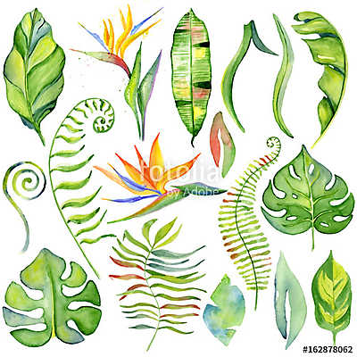 Watercolor tropical leaves (vászonkép óra) - vászonkép, falikép otthonra és irodába