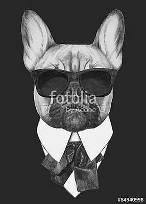 Hand drawn fashion Illustration of French Bulldog. Vector isolat (poszter) - vászonkép, falikép otthonra és irodába