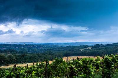 (id: 24052) vászonkép  (id: 24052) vászonkép