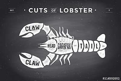 Cut of meat set. Poster Butcher diagram and scheme - Lobster. Vi (többrészes kép) - vászonkép, falikép otthonra és irodába
