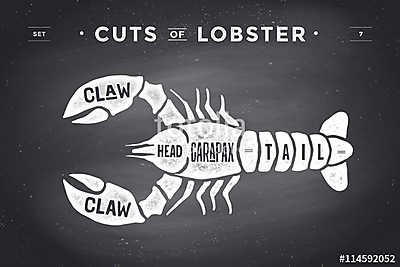 Cut of meat set. Poster Butcher diagram and scheme - Lobster. Vi (keretezett kép) - vászonkép, falikép otthonra és irodába