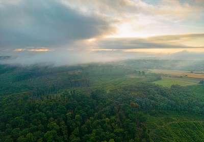 (id: 24053) vászonkép  (id: 24053) vászonkép