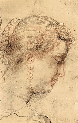 Peter Paul Rubens:  (id: 1354) falikép keretezve