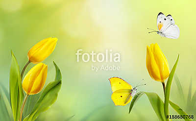 Spring floral template background. A beautiful bouquet of yellow (vászonkép óra) - vászonkép, falikép otthonra és irodába