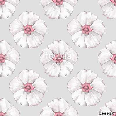 Floral seamless pattern. Watercolor background with white flower (poszter) - vászonkép, falikép otthonra és irodába