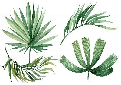 Watercolor illustration of leaves, isolated on white background (többrészes kép) - vászonkép, falikép otthonra és irodába